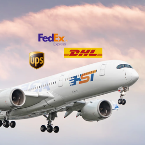 Express Delivery Shipping Agent Company Air Freight DDP
