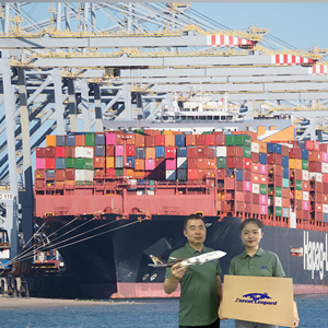 Sea Freight China Shipping Agent Professional Sea Transport DDP