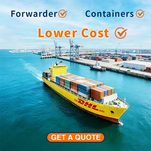Freight Forwarder China To USA France Australia DDP Logistics