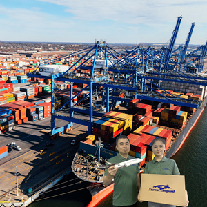 Free Customs Clearance Freight Forwarder FBA DDP From China