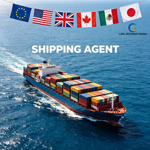 Professional Freight Forwarder Worldwide Shipping by Air Sea Door to Door